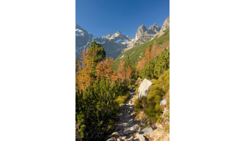 Hotel CROCUS **** Vysoké Tatry